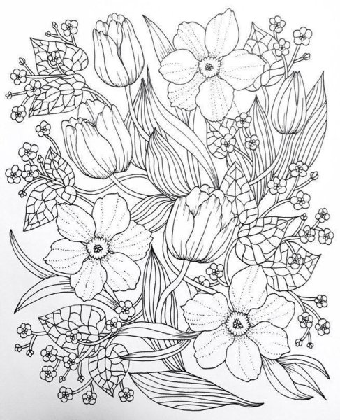 Раскраска антистресс "цветы"