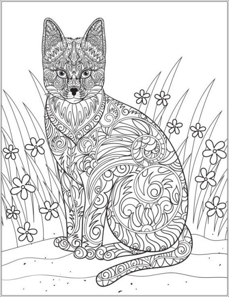 Кот в графике