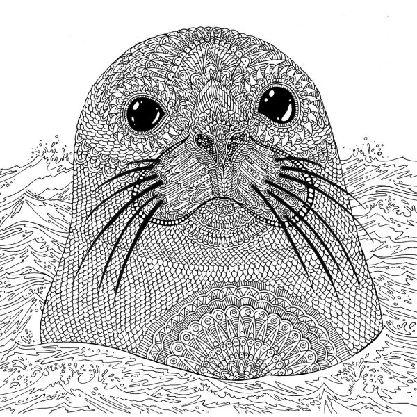 Раскраски для девочек сложные кошки