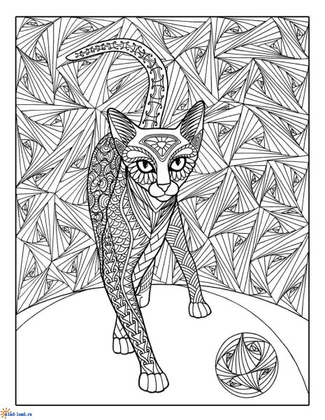 Коты зендудл