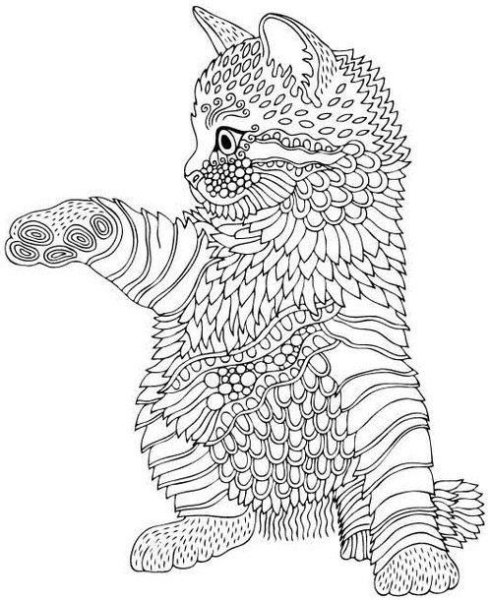 Раскраска для девочек котята с узором