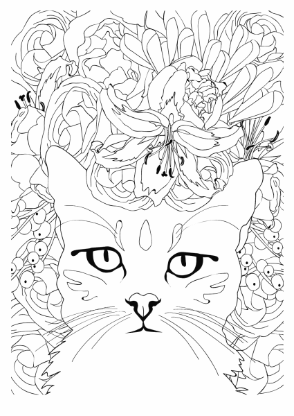 Раскраска Дикие кошки