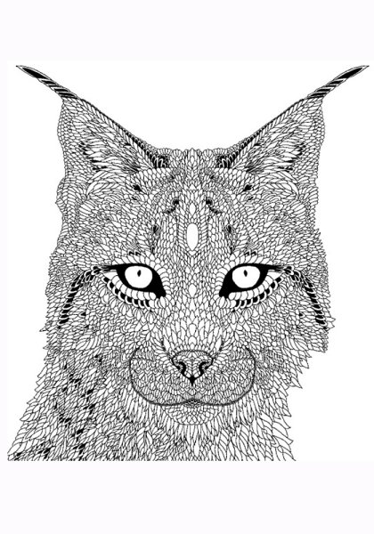 Раскраска антистресс котики