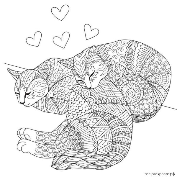 Картина кота для раскрашивания