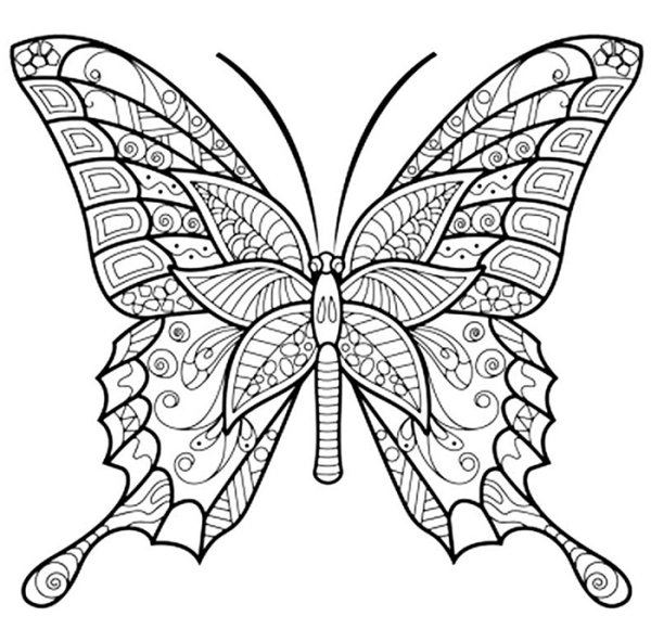 Раскраски антистресс бабочки