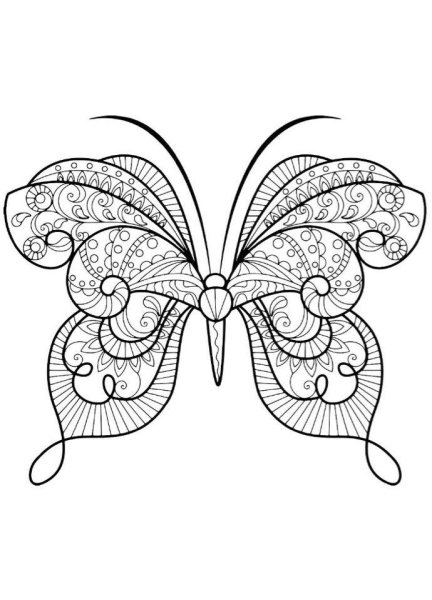 Разукрашка антистресс бабочка