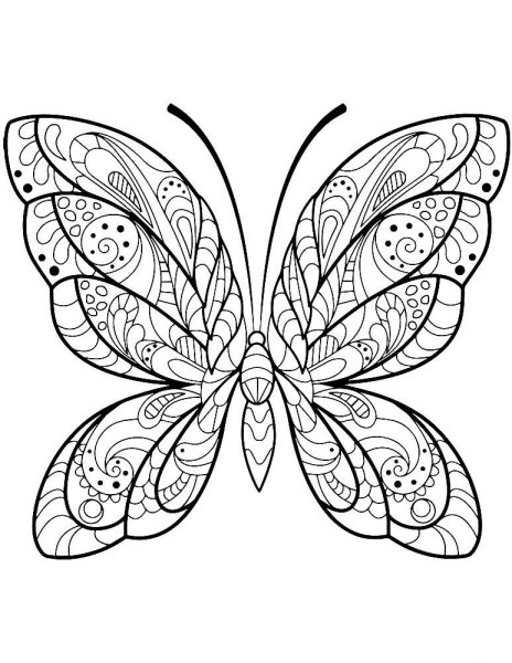 Раскраска "бабочки"