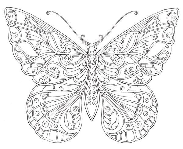 Раскраски антистресс бабочки