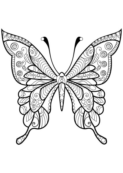 Раскраски антистресс бабочки
