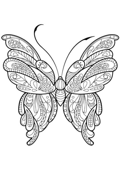Раскраски антистресс бабочки