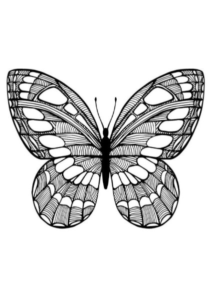 Дудлинг и Зентангл бабочки