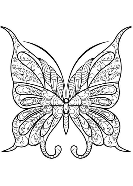 Раскраски антистресс бабочки