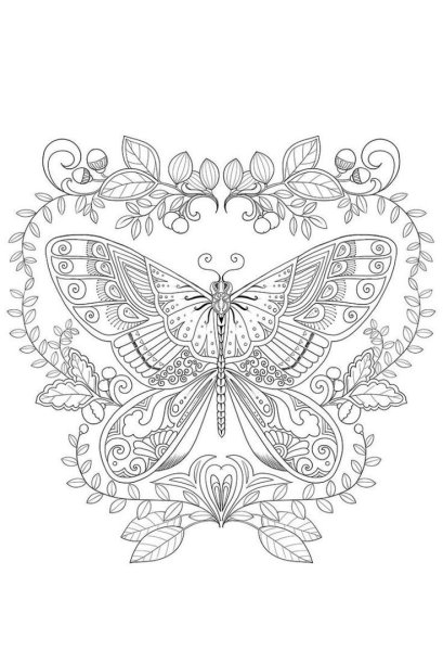 Раскраски антистресс бабочки красивые