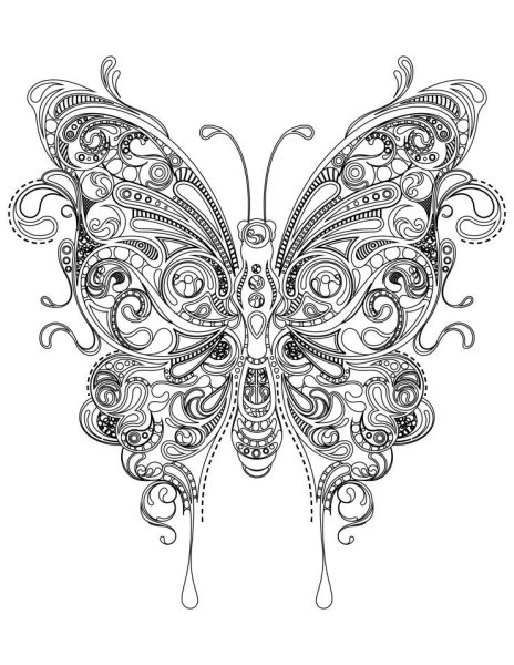 Раскраска "бабочки"