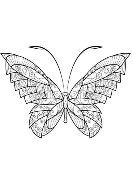 Раскраска объемная бабочка