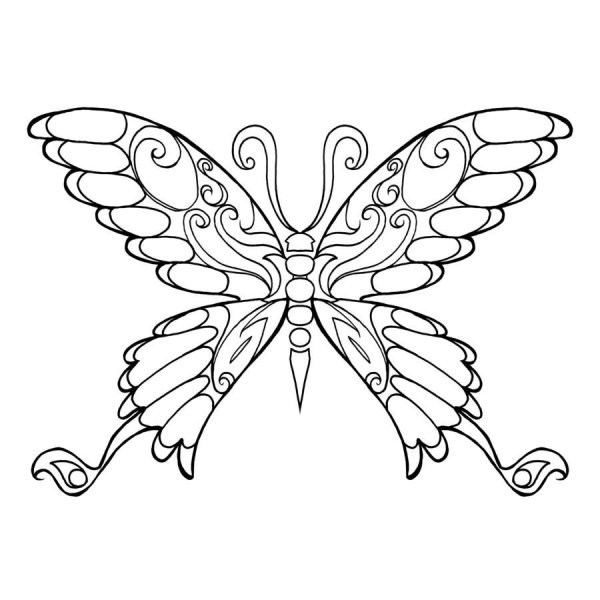 Раскраска "бабочки"