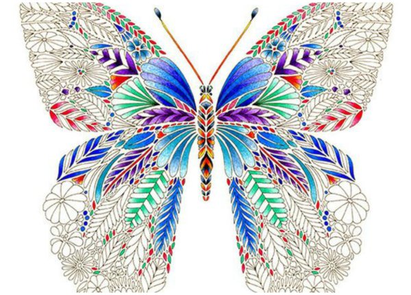 Раскраски фантазийные бабочки