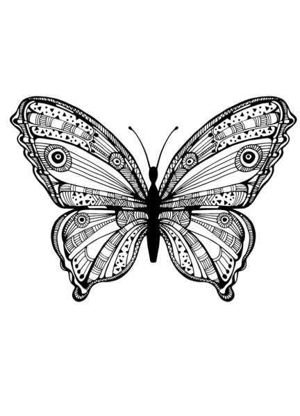 Раскраски антистресс бабочки