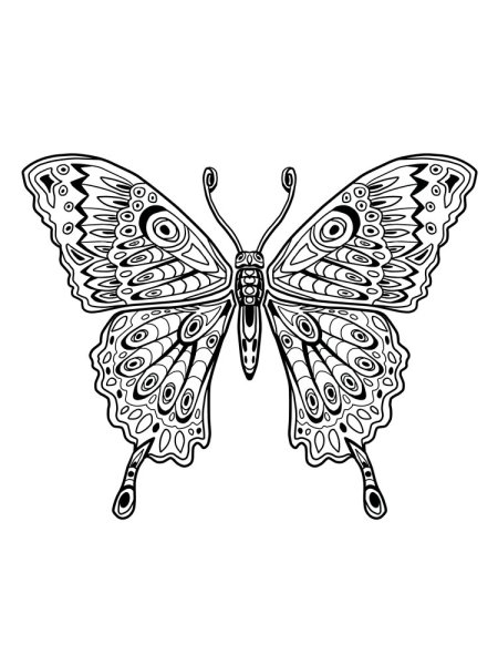 Раскраски антистресс бабочки