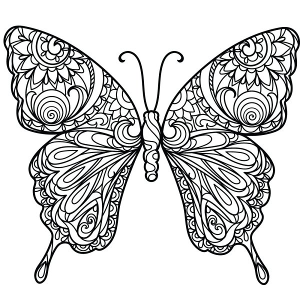 Раскраска "бабочки"