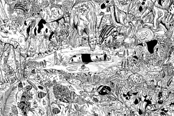 Душан Кртолица