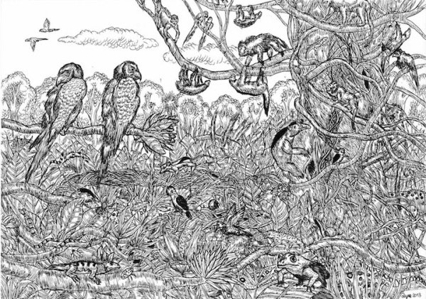 Душан Кртолица