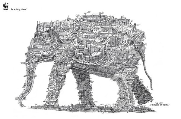 Самые сложные картинки в мире