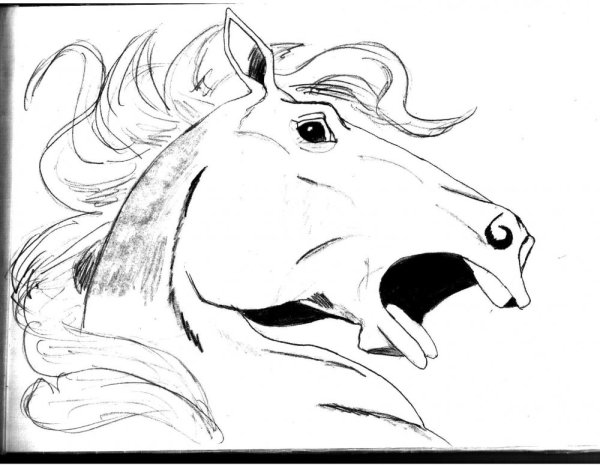 Рисунки для срисовывания сложные