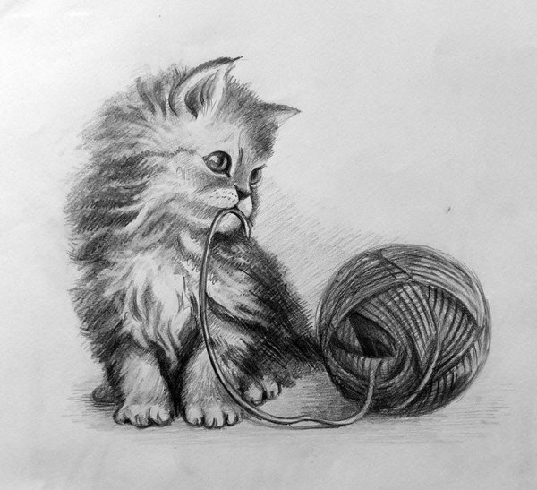 Эскиз котенка карандашом