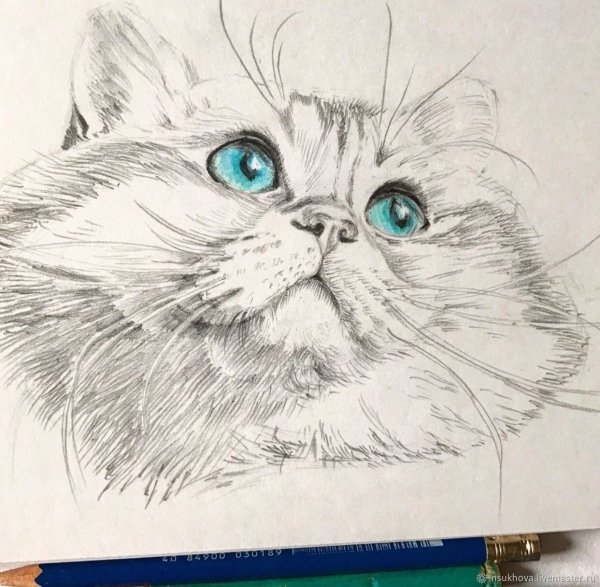 Рисунки серым карандашом