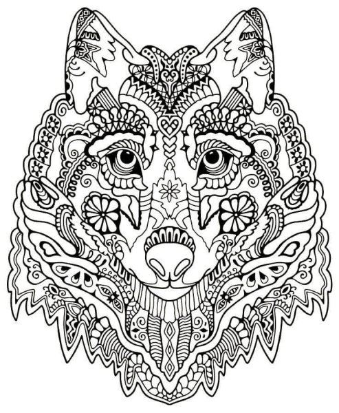 Раскраскаантистрес волк