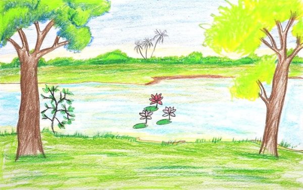 Летний пейзаж карандашом