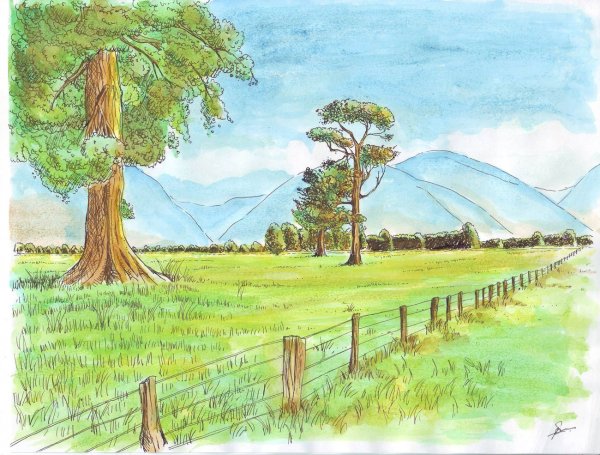 Рисунки природы