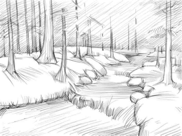 Пейзаж леса карандашом