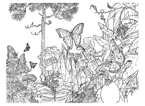 Раскраска природа