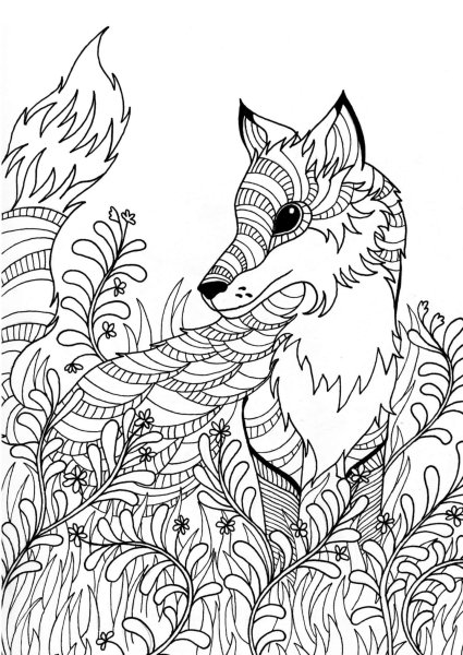 Раскраска антистресс лиса