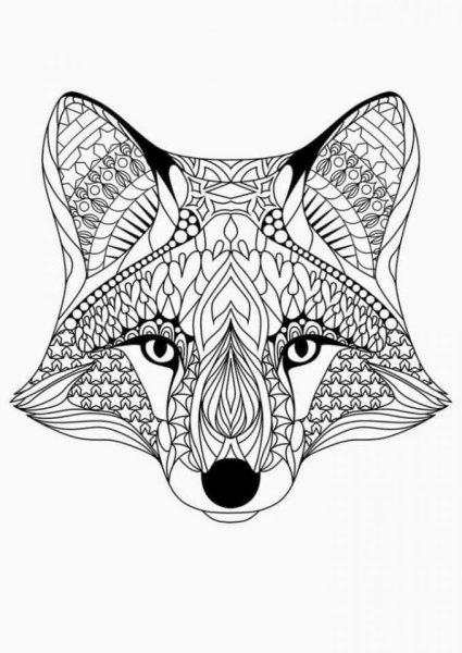 Раскраска антистресс лиса