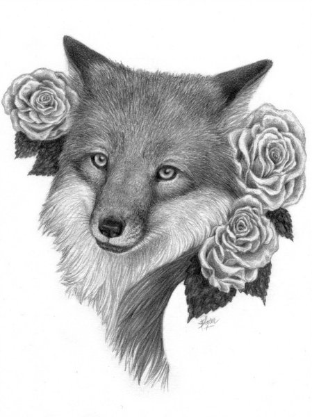 Лиса черно белая