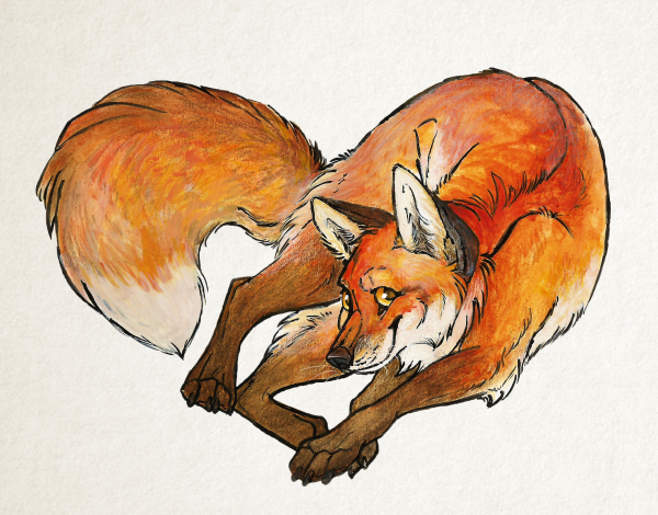 Лисы нарисованные
