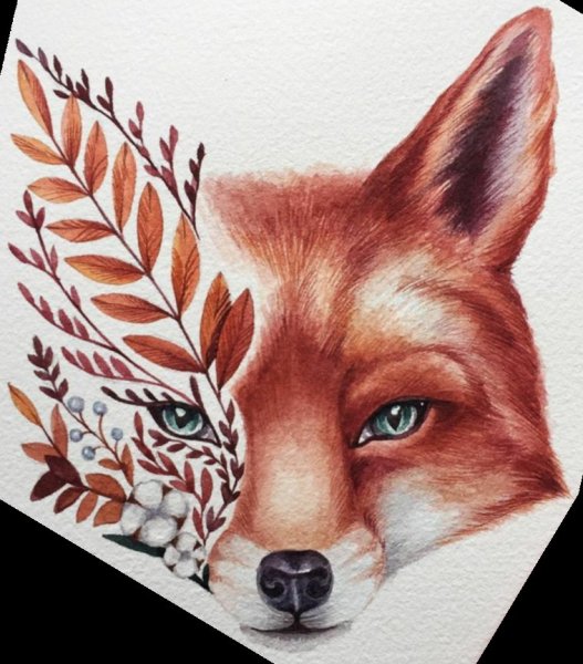 Вышивка мордочки лисы