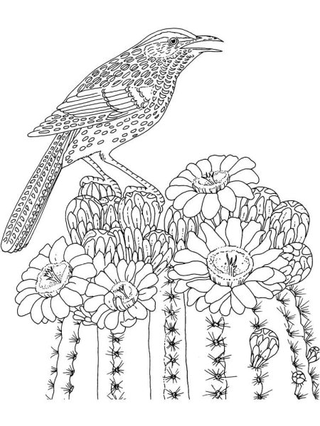 Сложные раскраски для детей