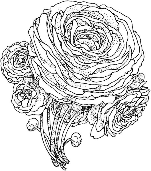 Раскраска антистресс "цветы"