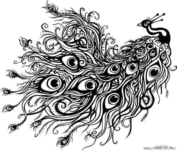 Павлин тату эскиз