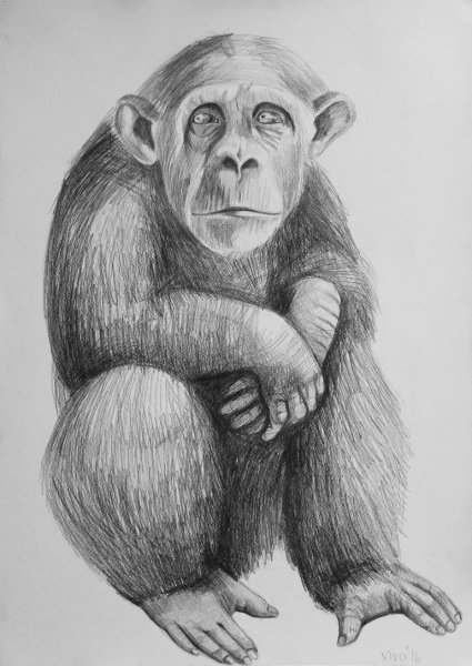 Мартышка карандашом