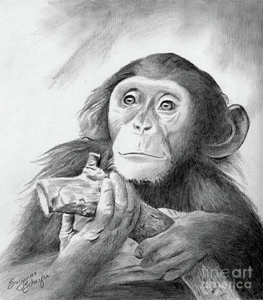 Обезьянка рисование