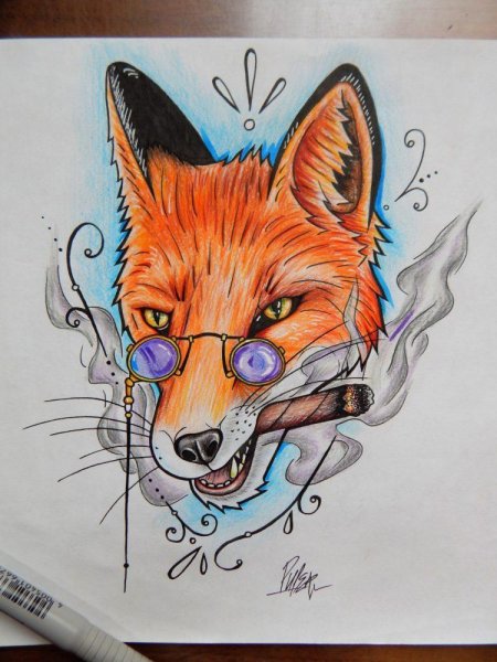 Морда лисы для срисовки