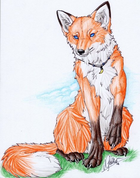 Рисунок лисы