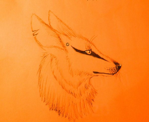 Лисьи глаза рисунок