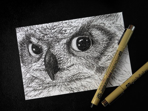 Раскраски антистресс фэнтези