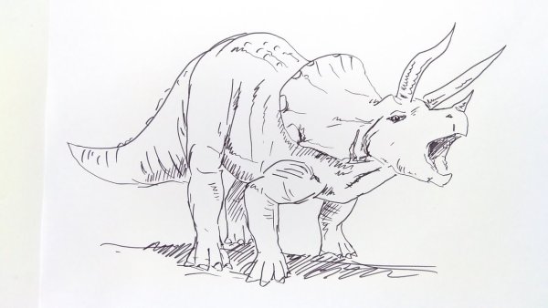 Динозавры карандашом для срисовки